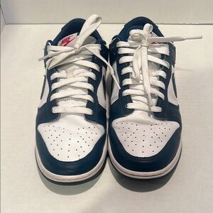 Nike Men's Dunks - Valerian Blue